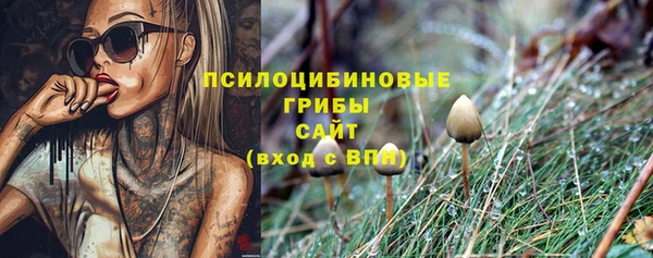 прущие крисы Богданович