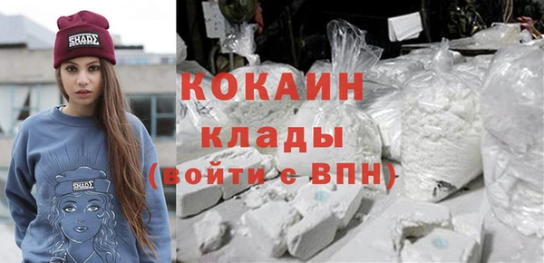 дмт Протвино